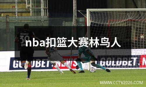 nba扣篮大赛林鸟人