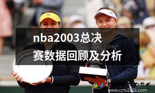 nba2003总决赛数据回顾及分析
