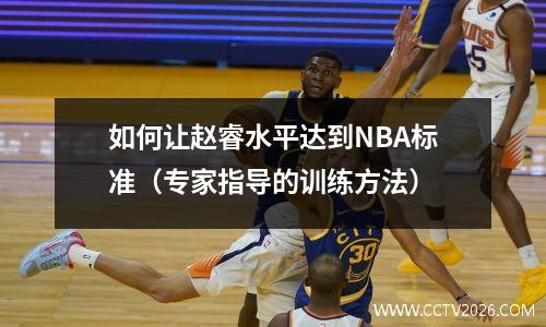 如何让赵睿水平达到NBA标准（专家指导的训练方法）