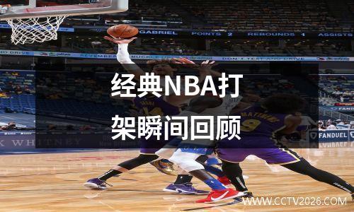 经典NBA打架瞬间回顾
