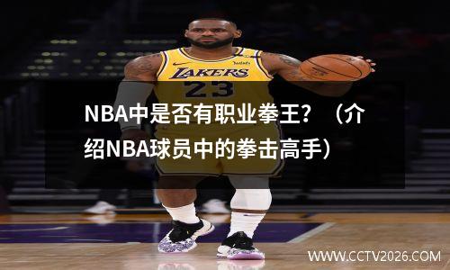 NBA中是否有职业拳王？（介绍NBA球员中的拳击高手）