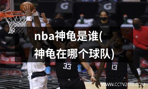 nba神龟是谁(神龟在哪个球队)