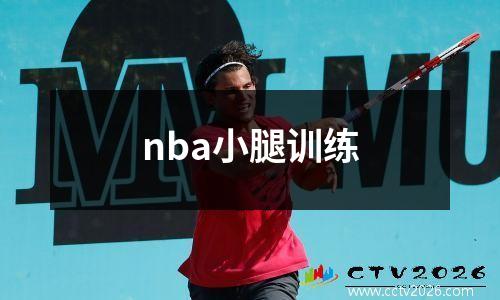 nba小腿训练