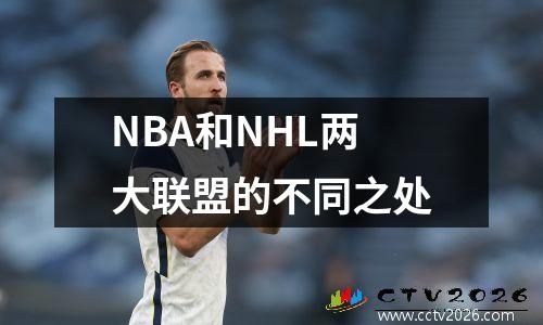 NBA和NHL两大联盟的不同之处