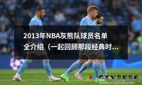 2013年NBA灰熊队球员名单全介绍（一起回顾那段经典时光）
