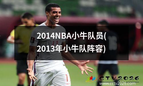 2014NBA小牛队员(2013年小牛队阵容)