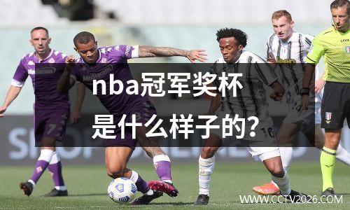 nba冠军奖杯是什么样子的？