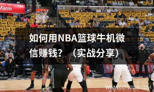 如何用NBA篮球牛机微信赚钱？（实战分享）