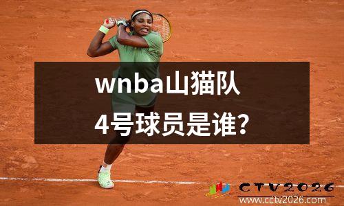 wnba山猫队4号球员是谁？
