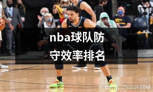nba球队防守效率排名