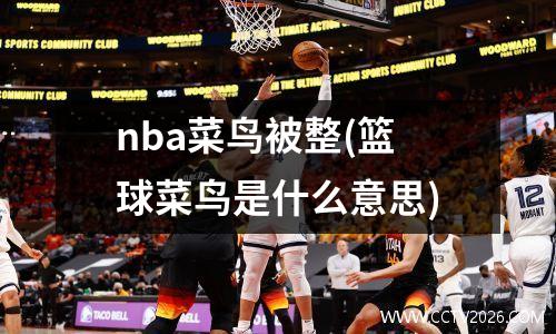 nba菜鸟被整(篮球菜鸟是什么意思)