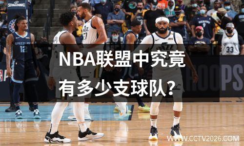 NBA联盟中究竟有多少支球队？
