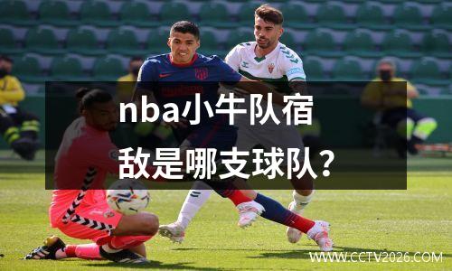 nba小牛队宿敌是哪支球队？