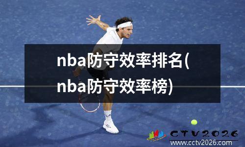 nba防守效率排名(nba防守效率榜)