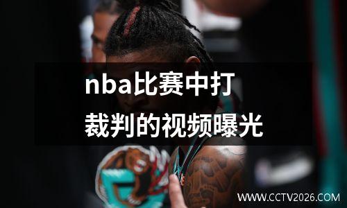 nba比赛中打裁判的视频曝光