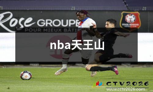 nba天王山