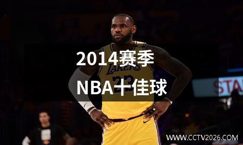 2014赛季NBA十佳球