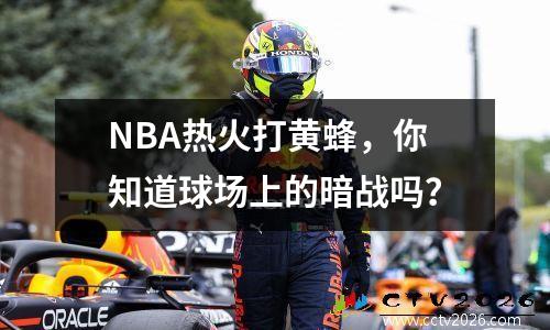 NBA热火打黄蜂，你知道球场上的暗战吗？