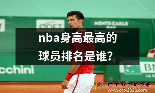 nba身高最高的球员排名是谁？