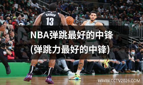 NBA弹跳最好的中锋(弹跳力最好的中锋)
