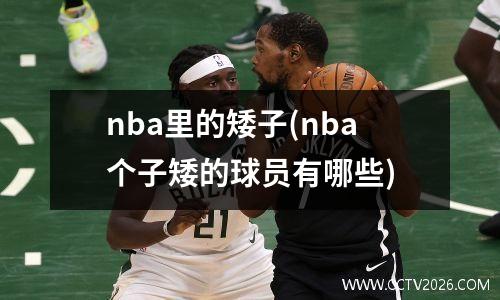 nba里的矮子(nba个子矮的球员有哪些)