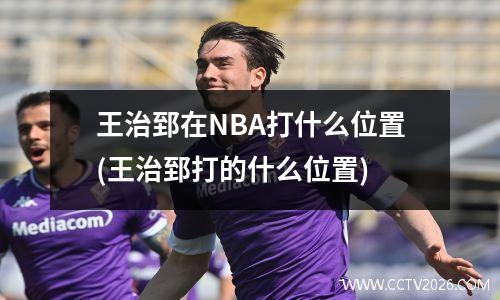 王治郅在NBA打什么位置(王治郅打的什么位置)