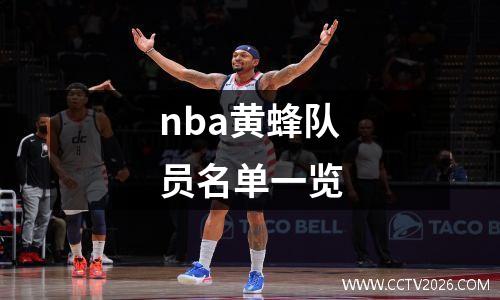 nba黄蜂队员名单一览