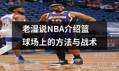 老湿说NBA介绍篮球场上的方法与战术