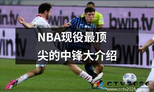 NBA现役最顶尖的中锋大介绍
