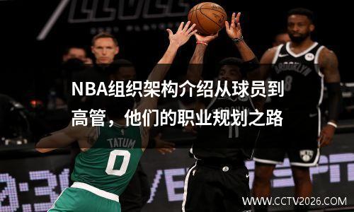 NBA组织架构介绍从球员到高管，他们的职业规划之路