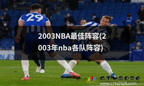 2003NBA最佳阵容(2003年nba各队阵容)