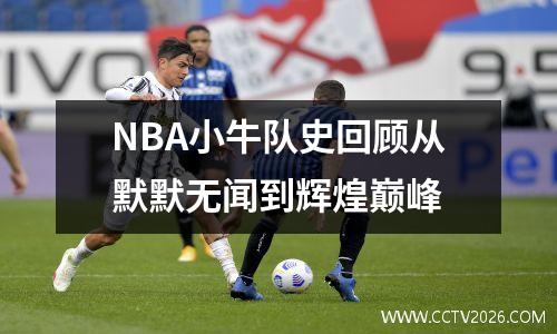NBA小牛队史回顾从默默无闻到辉煌巅峰