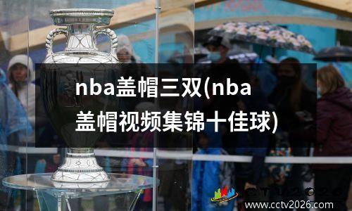 nba盖帽三双(nba盖帽视频集锦十佳球)
