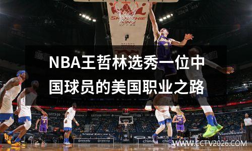 NBA王哲林选秀一位中国球员的美国职业之路