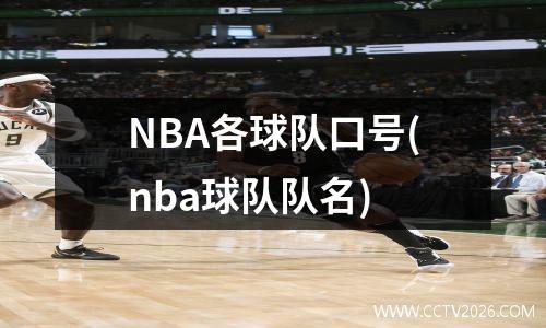 NBA各球队口号(nba球队队名)