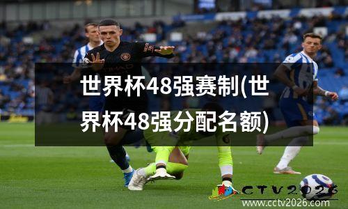 世界杯48强赛制(世界杯48强分配名额)