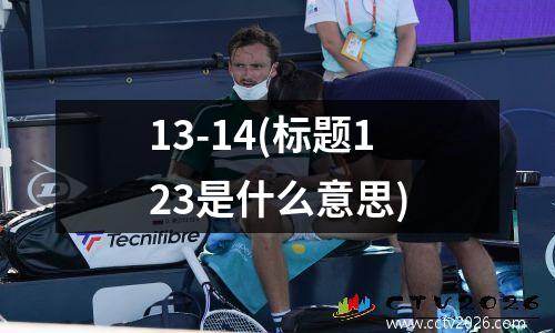 13-14(标题123是什么意思)