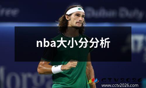 nba大小分分析