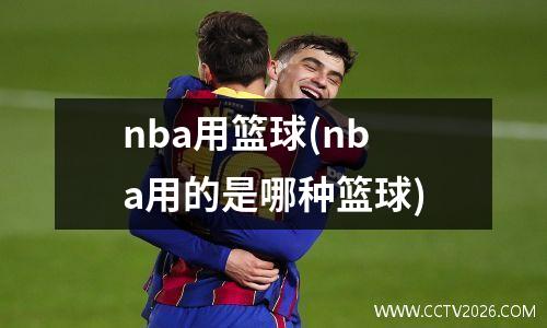 nba用篮球(nba用的是哪种篮球)