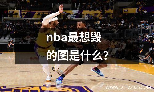 nba最想毁的图是什么？