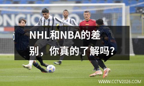NHL和NBA的差别，你真的了解吗？