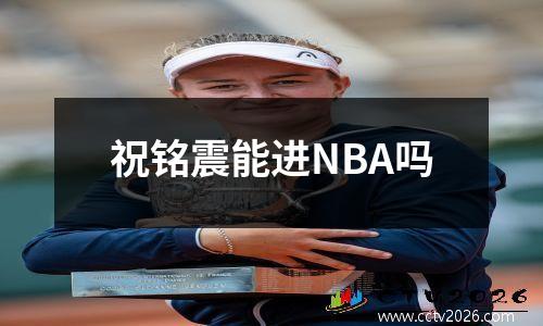 祝铭震能进NBA吗