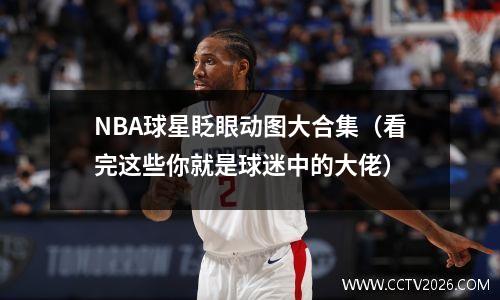 NBA球星眨眼动图大合集（看完这些你就是球迷中的大佬）