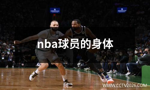 nba球员的身体