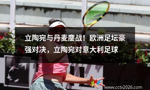 立陶宛与丹麦鏖战！欧洲足坛豪强对决，立陶宛对意大利足球