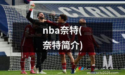 nba奈特(奈特简介)