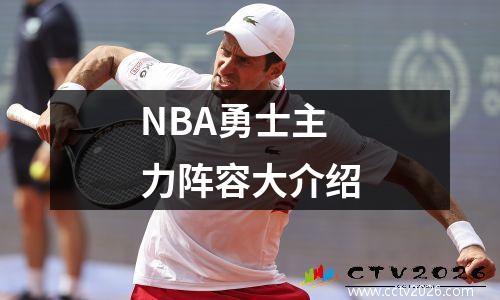 NBA勇士主力阵容大介绍