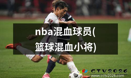 nba混血球员(篮球混血小将)