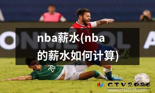 nba薪水(nba的薪水如何计算)