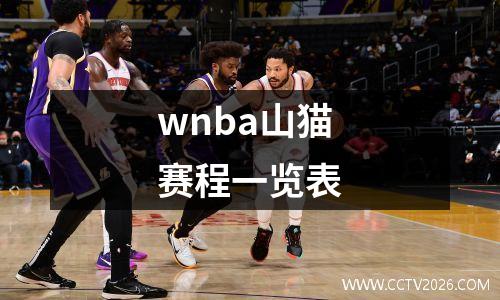 wnba山猫赛程一览表
